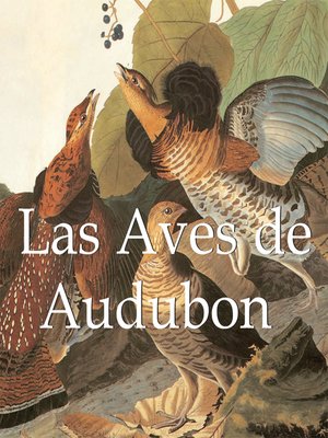 cover image of Audubon's Birds